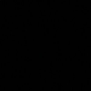 Meet your Posher, Ava